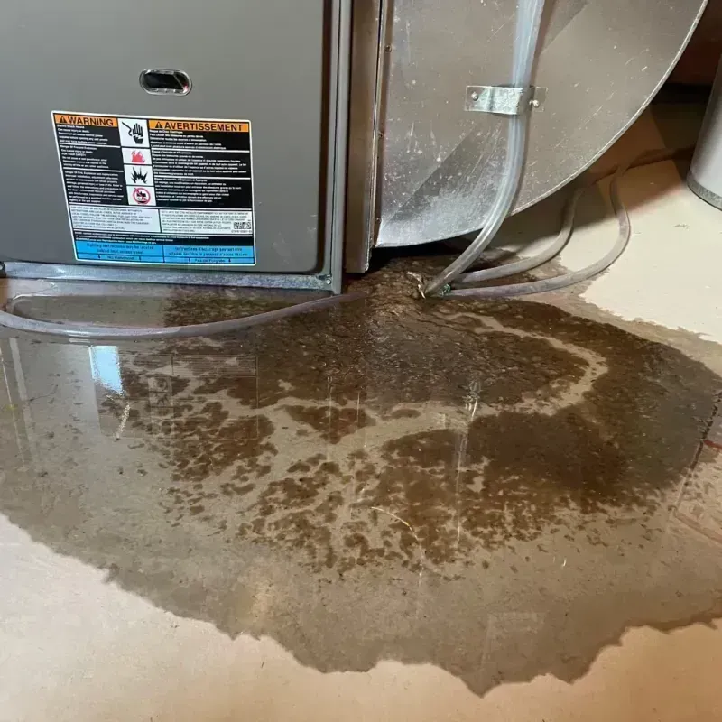 Appliance Leak Cleanup in Rockaway Beach, OR